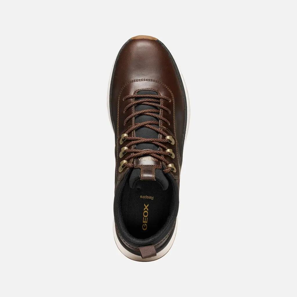 Baskets Homme U SPHERICA ACTIF X2 B ABX Marron Foncé 7/7