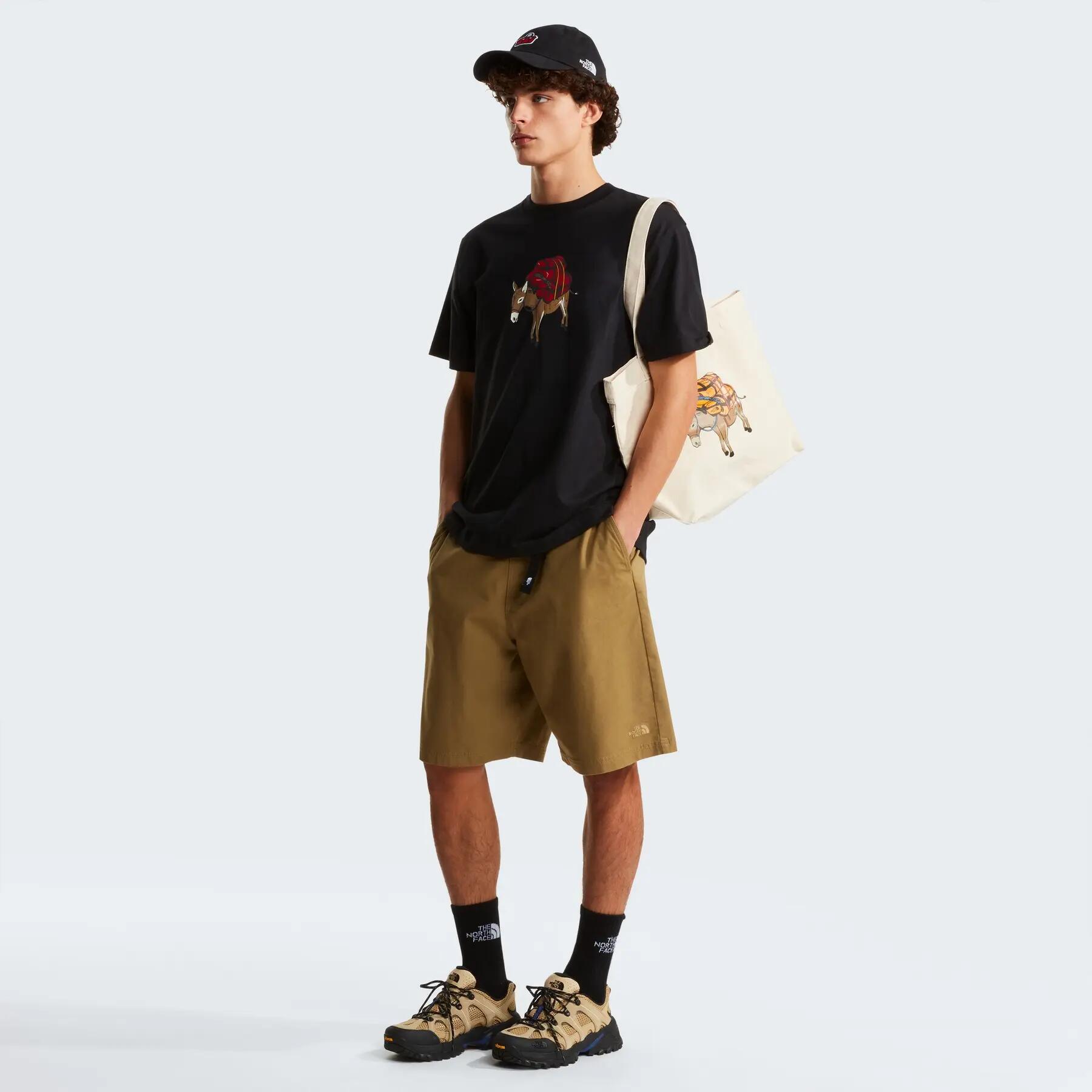 Camiseta esportiva masculina THE NORTH FACE DONKEY TAXI 6/6
