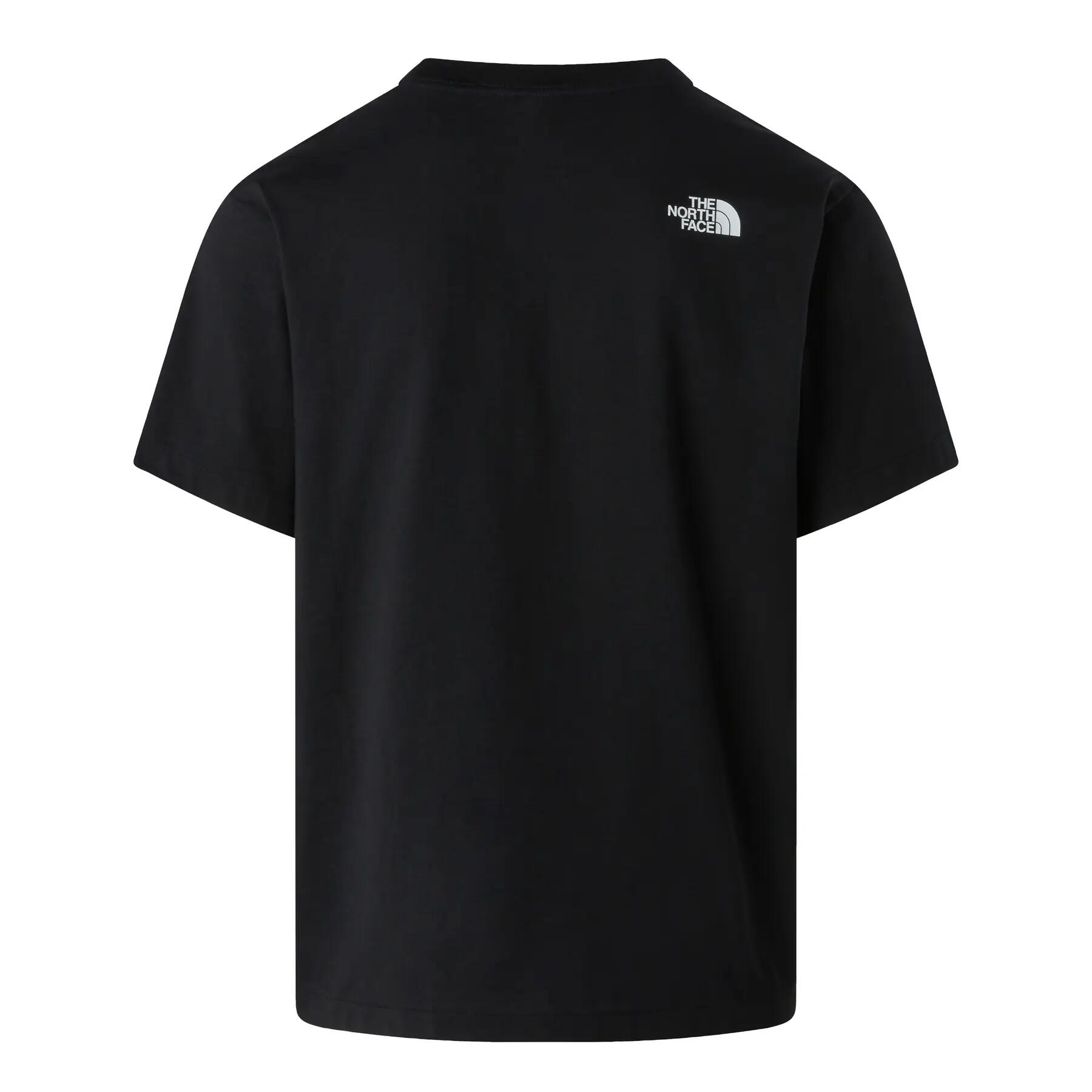 Camiseta esportiva masculina THE NORTH FACE DONKEY TAXI 2/6