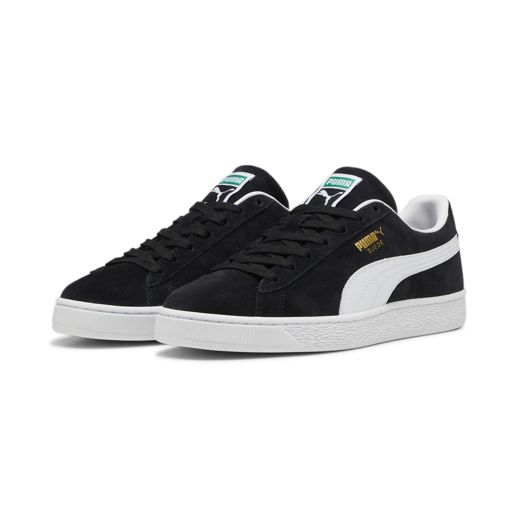 PUMA picture
