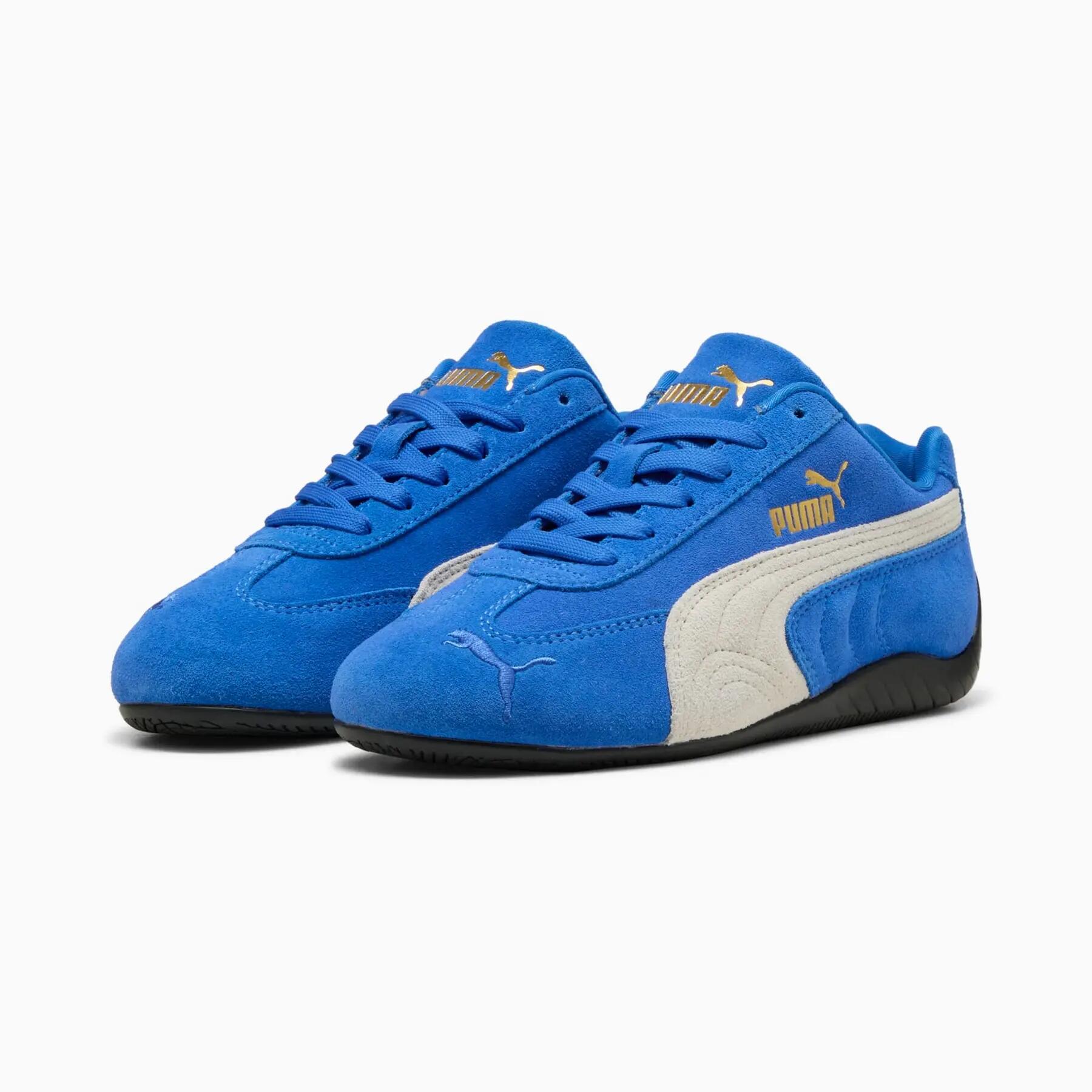 PUMA picture