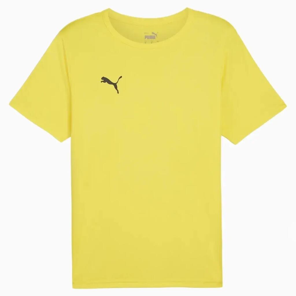 Puma Boys TEAMRISE Kids' Soccer Jersey