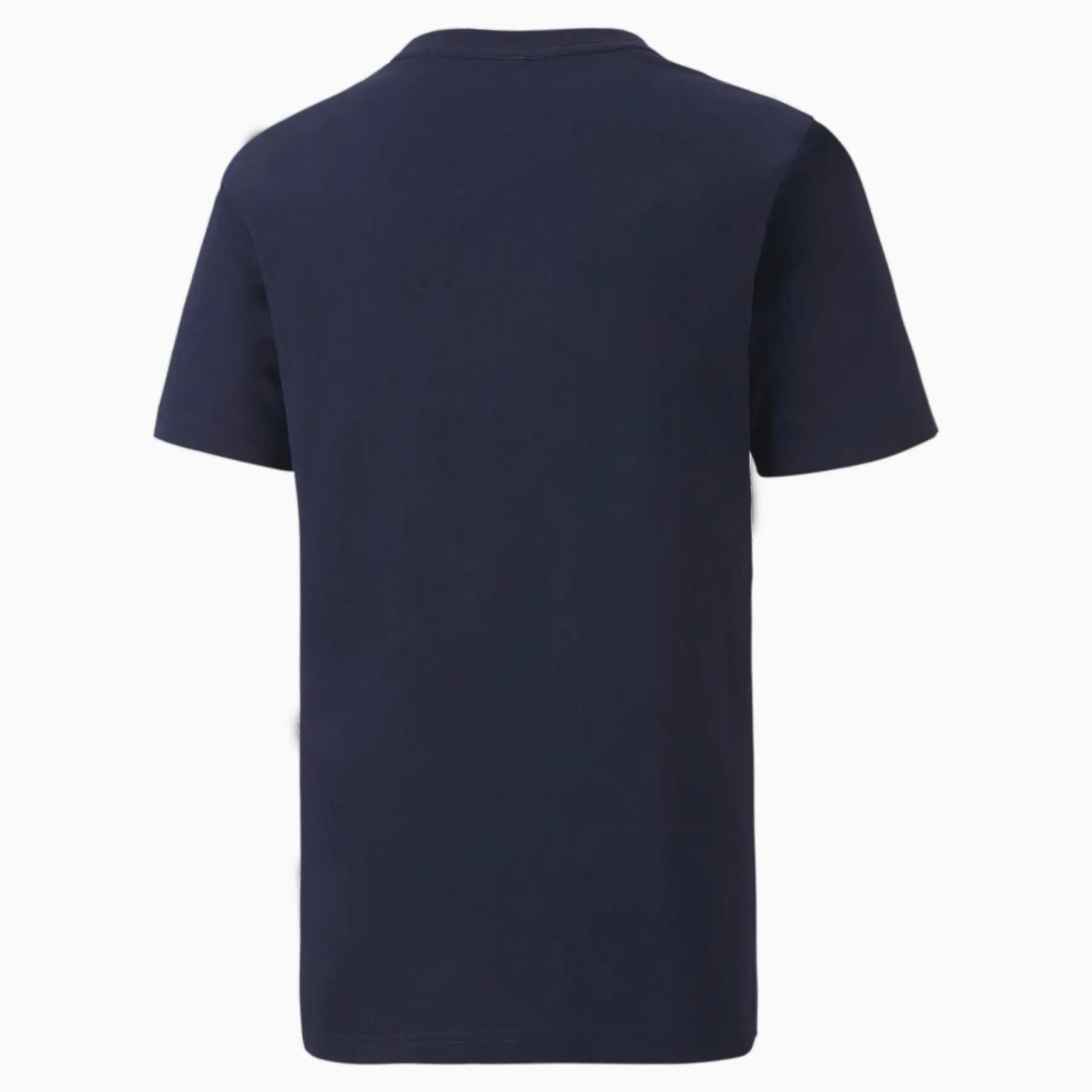 Maillot de football pour enfants Puma TEAMGOAL 2/2