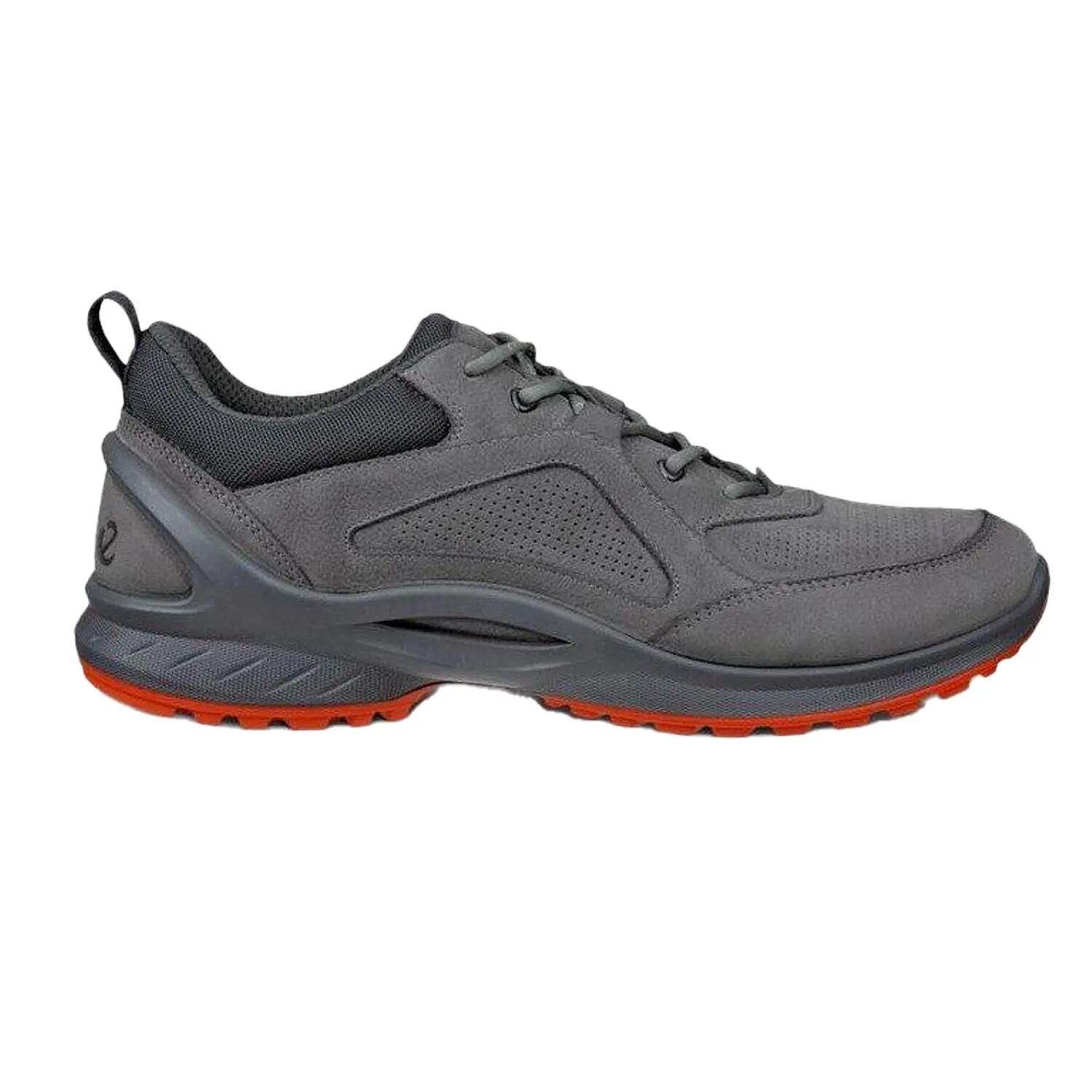 ECCO picture