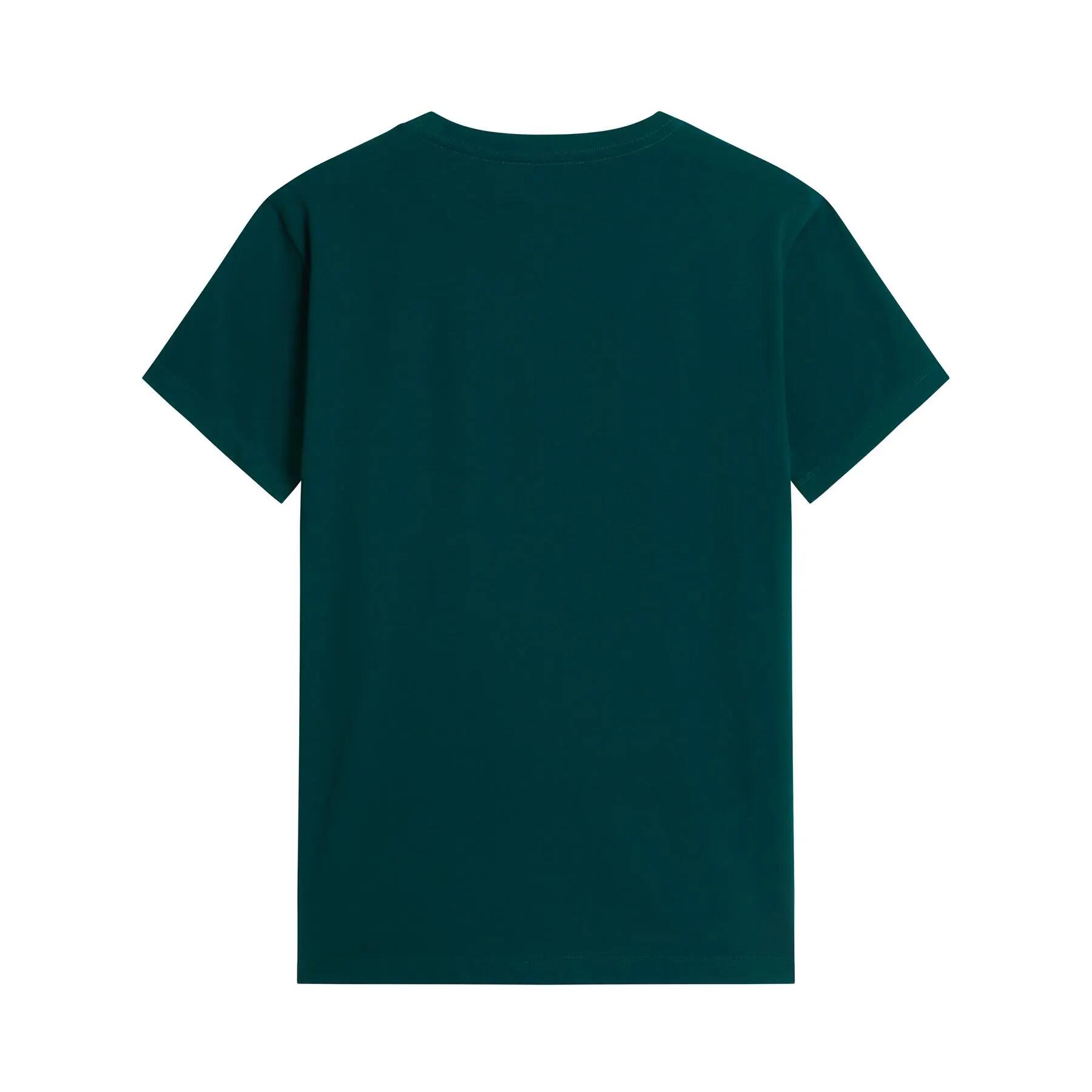 T-shirt sportiva da uomo THE NORTH FACE EVOLUTION SIMPLE 2/5