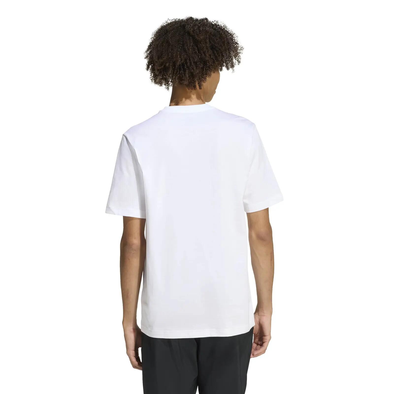 Koszulka męska ADIDAS M MTS LINEAR T XXL 3/6