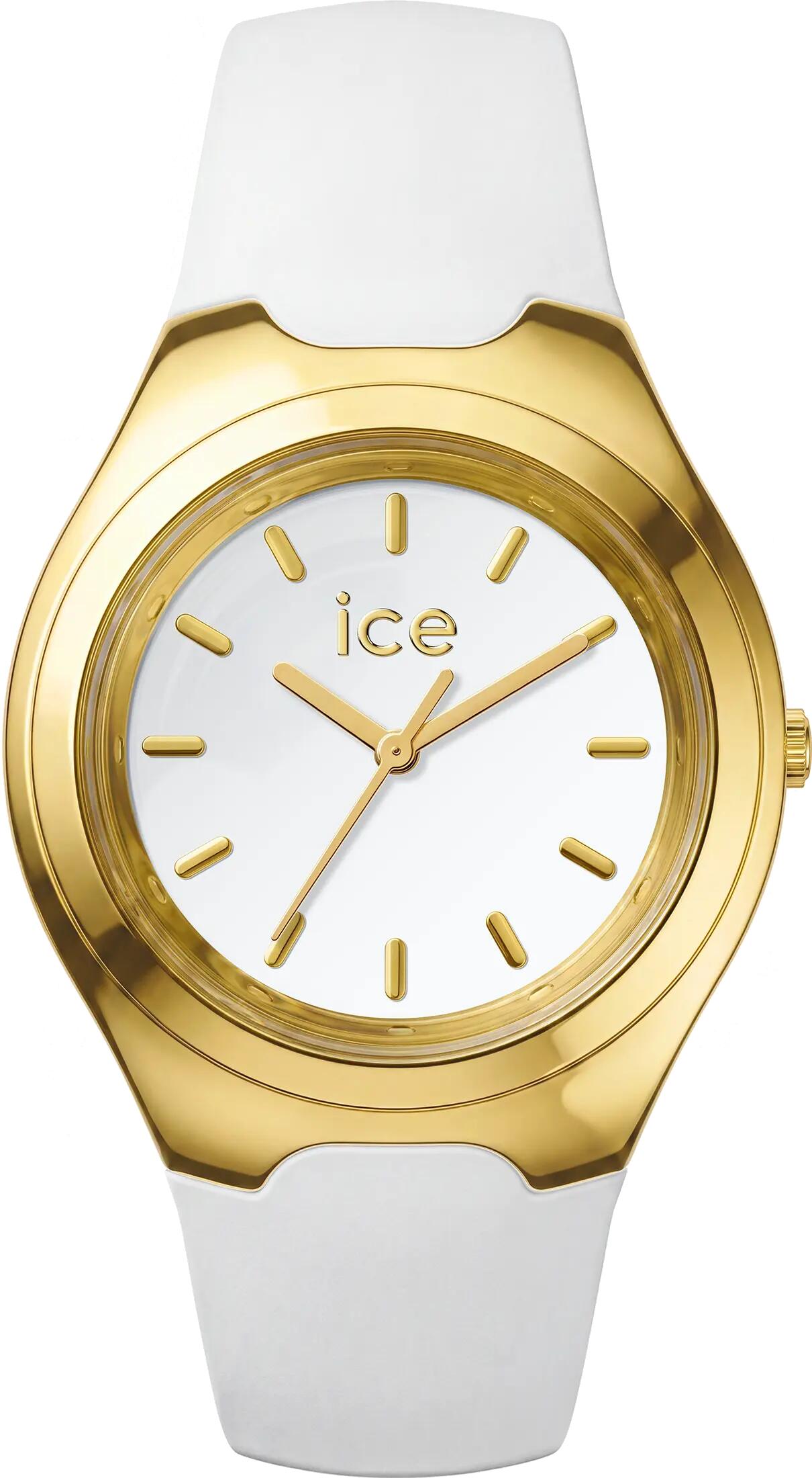 ICE WATCH picture
