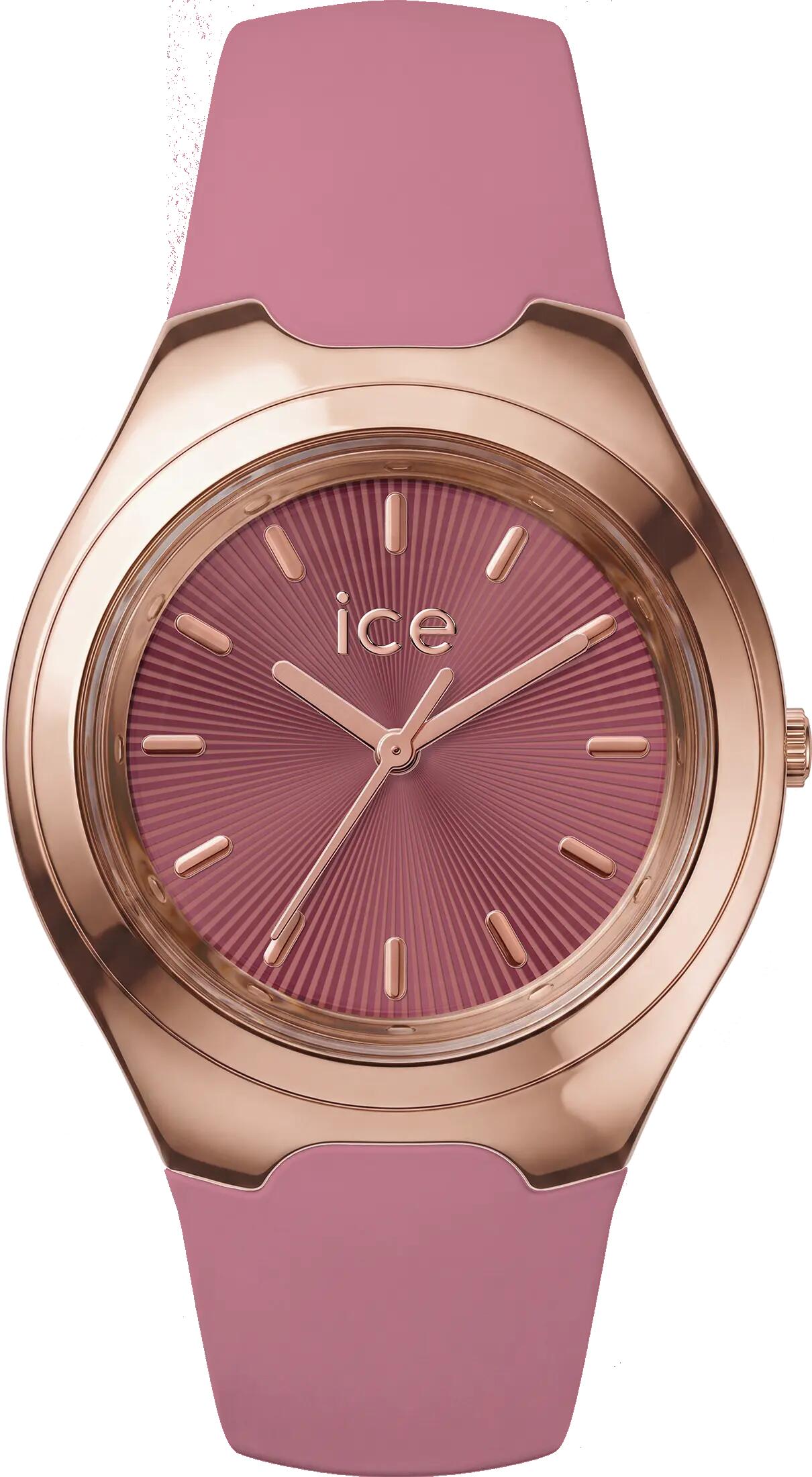 ICE WATCH picture