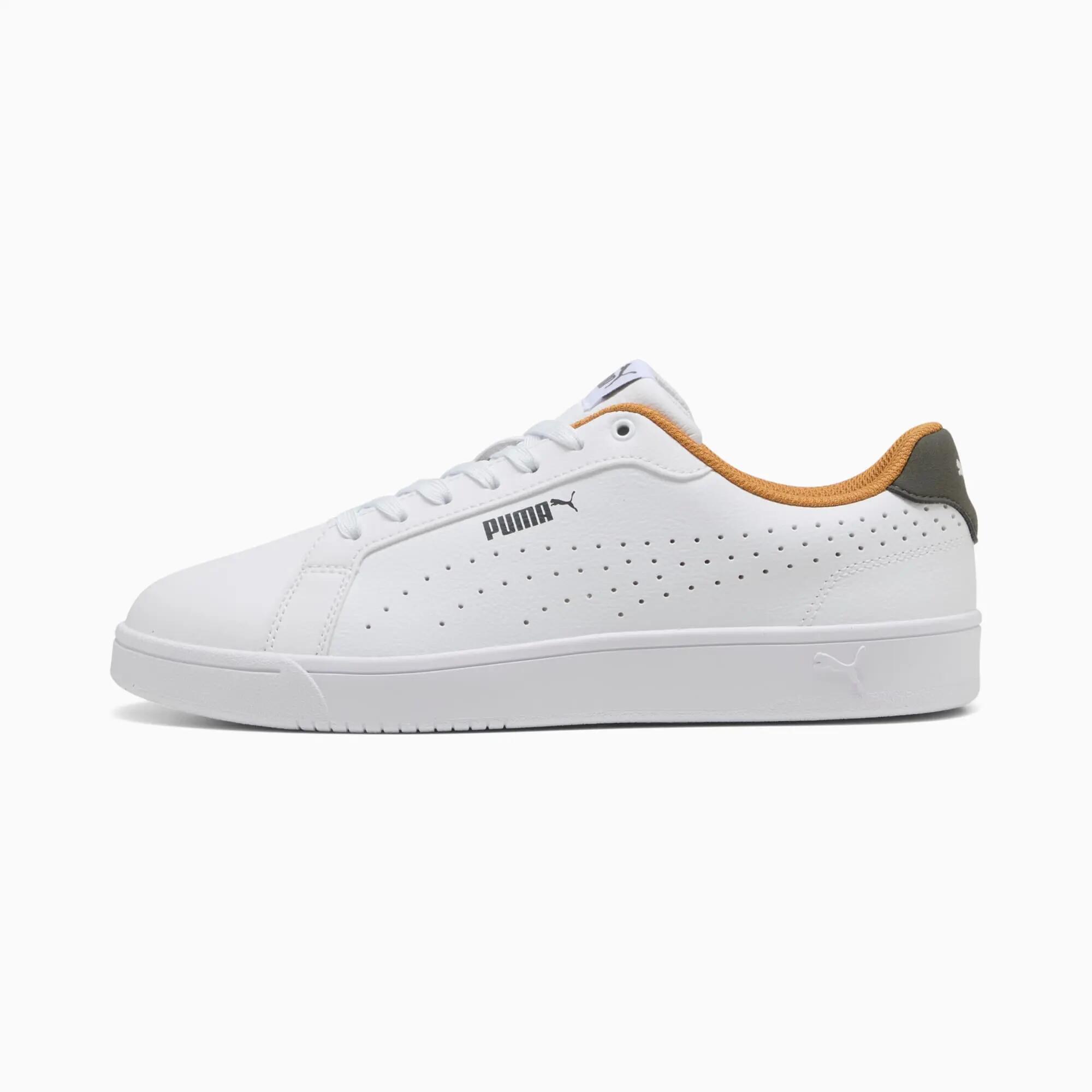 PUMA picture