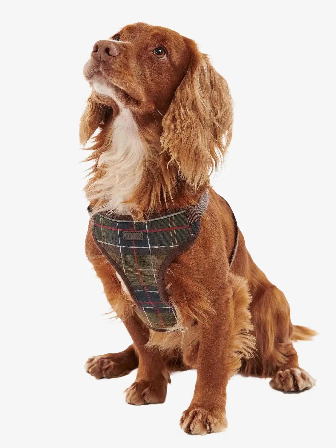 BARBOUR picture