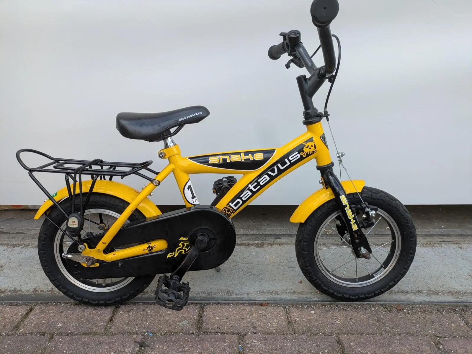 BATAVUS picture