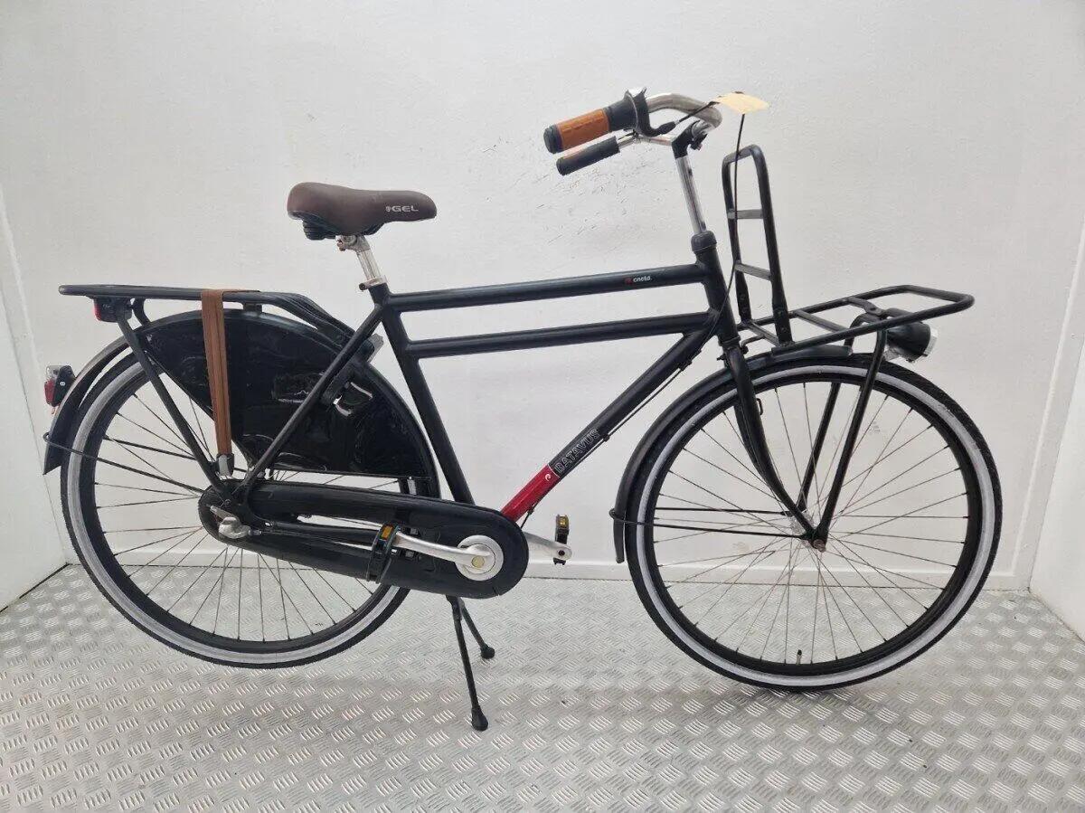 BATAVUS picture