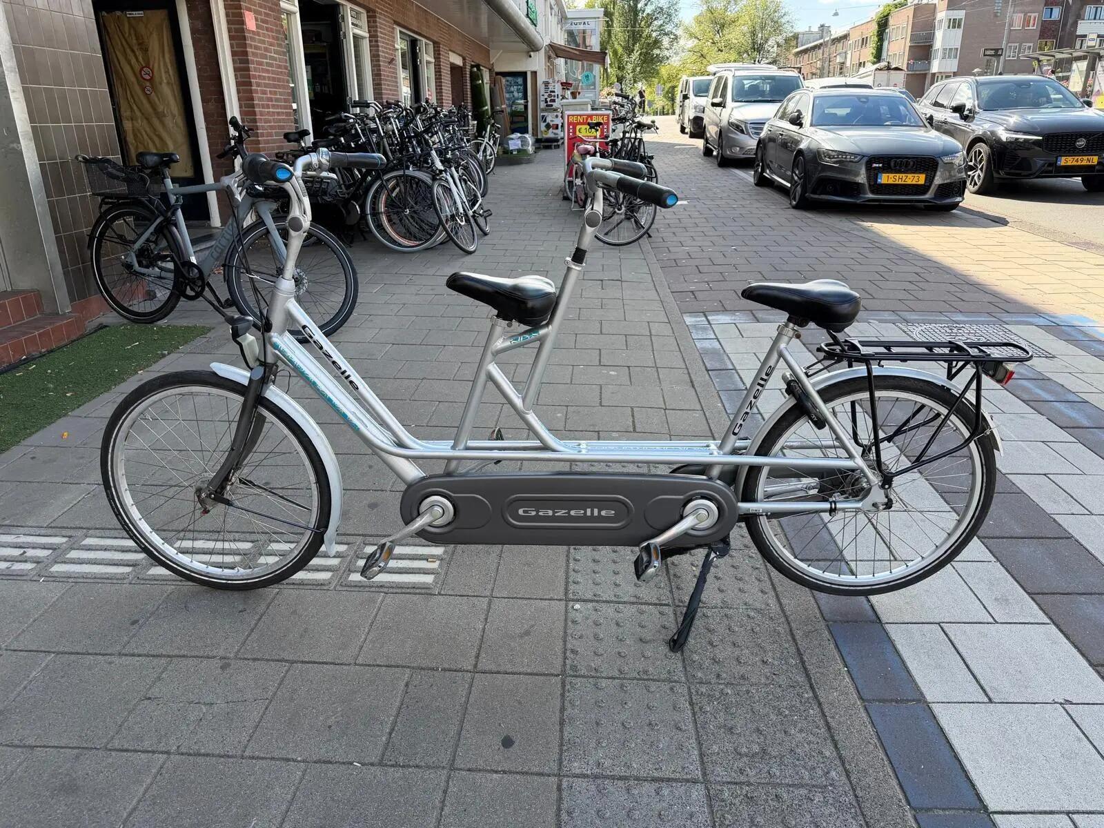 Gazelle Tandem bike, metal/grijs 3/6