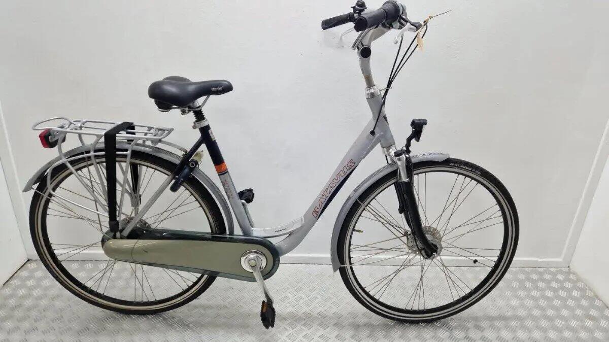 BATAVUS picture