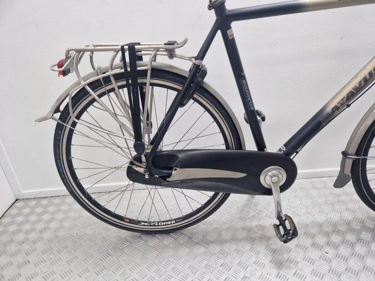 Batavus Greenparks, Shimano Nexus, blauw 2/3