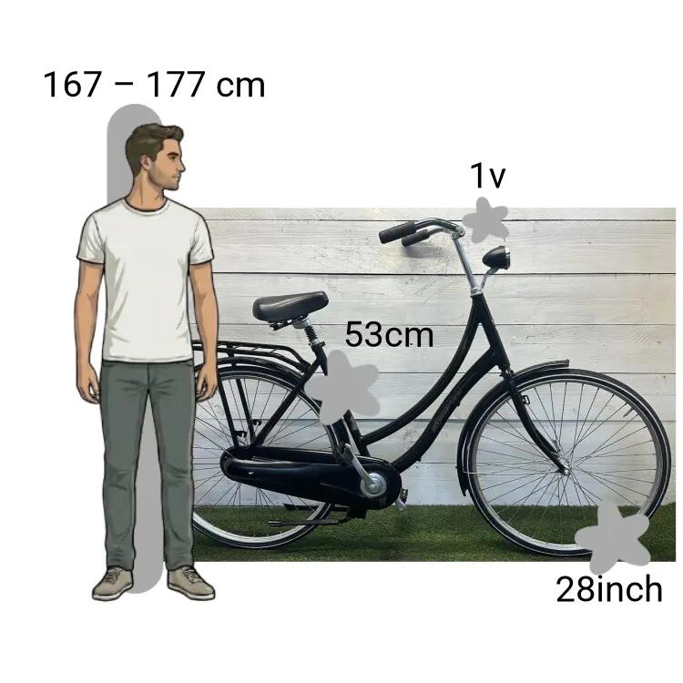 Bicicletta usata Sparta 2/4