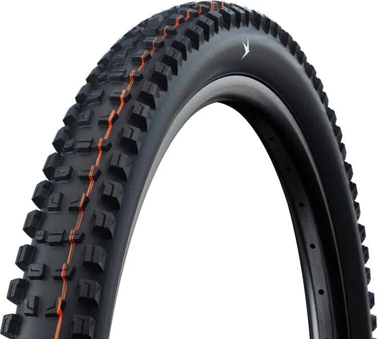 SCHWALBE picture
