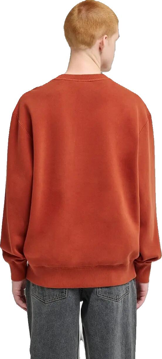 Sudadera Element Lowcase Pigment CR | Sudadera Hombre 2/2