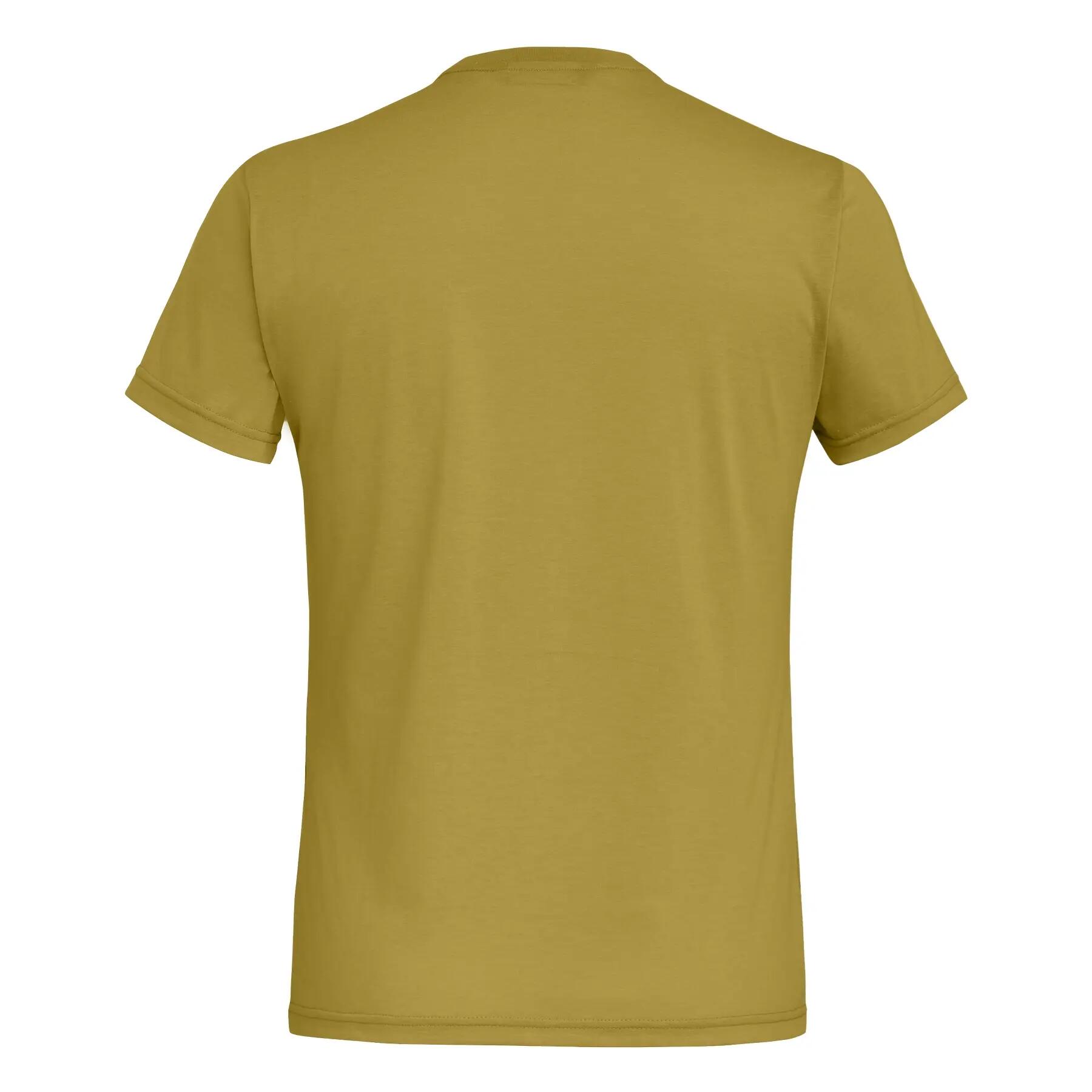 Maglia sportiva da uomo Salewa trekking SOLIDLOGO 2/3