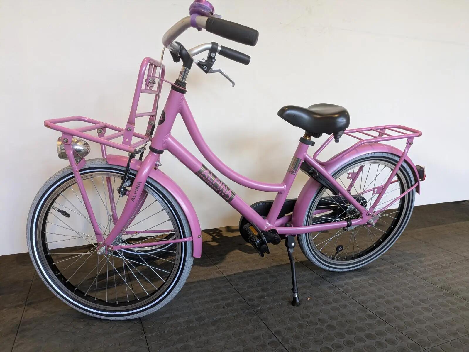 Alpina Cargo, roze 3/5