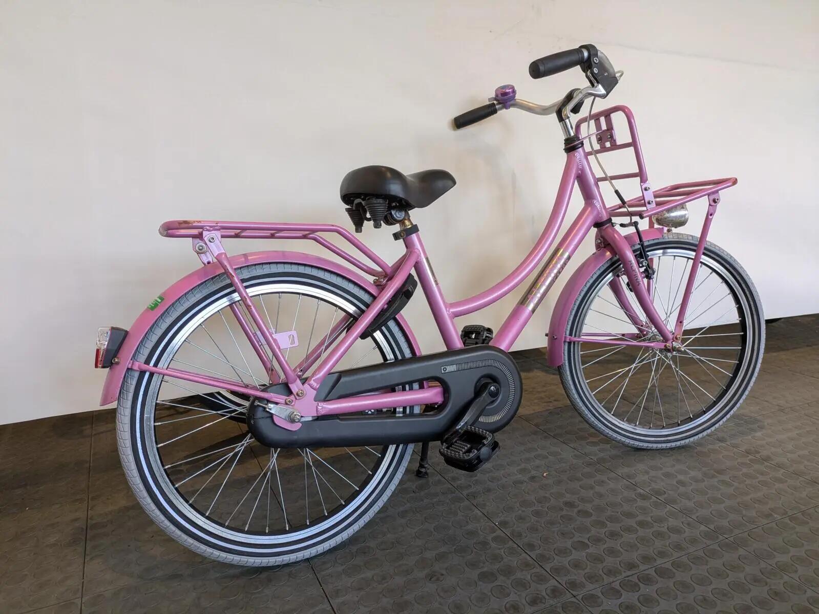 Alpina Cargo, roze 2/5