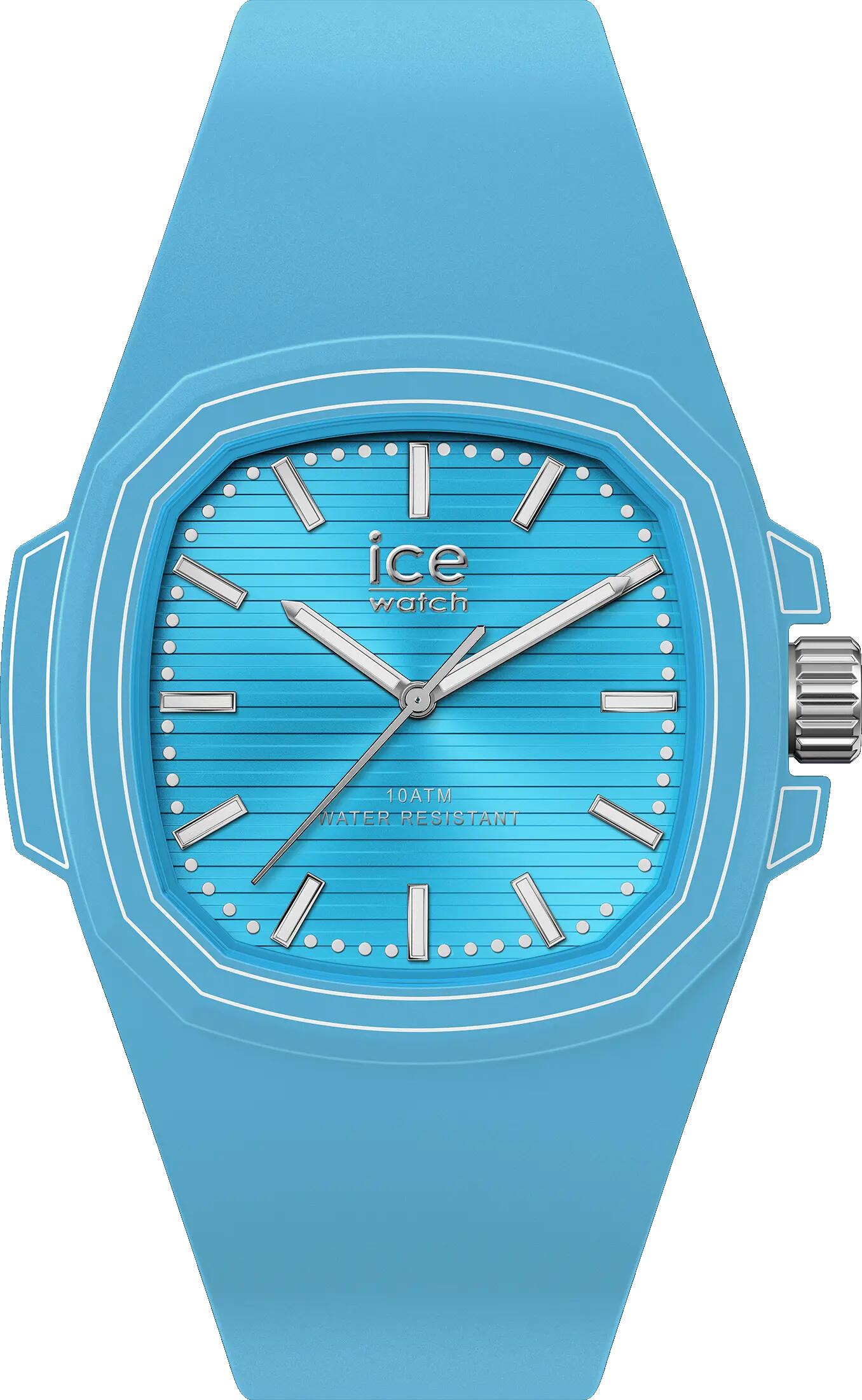 ICE WATCH picture