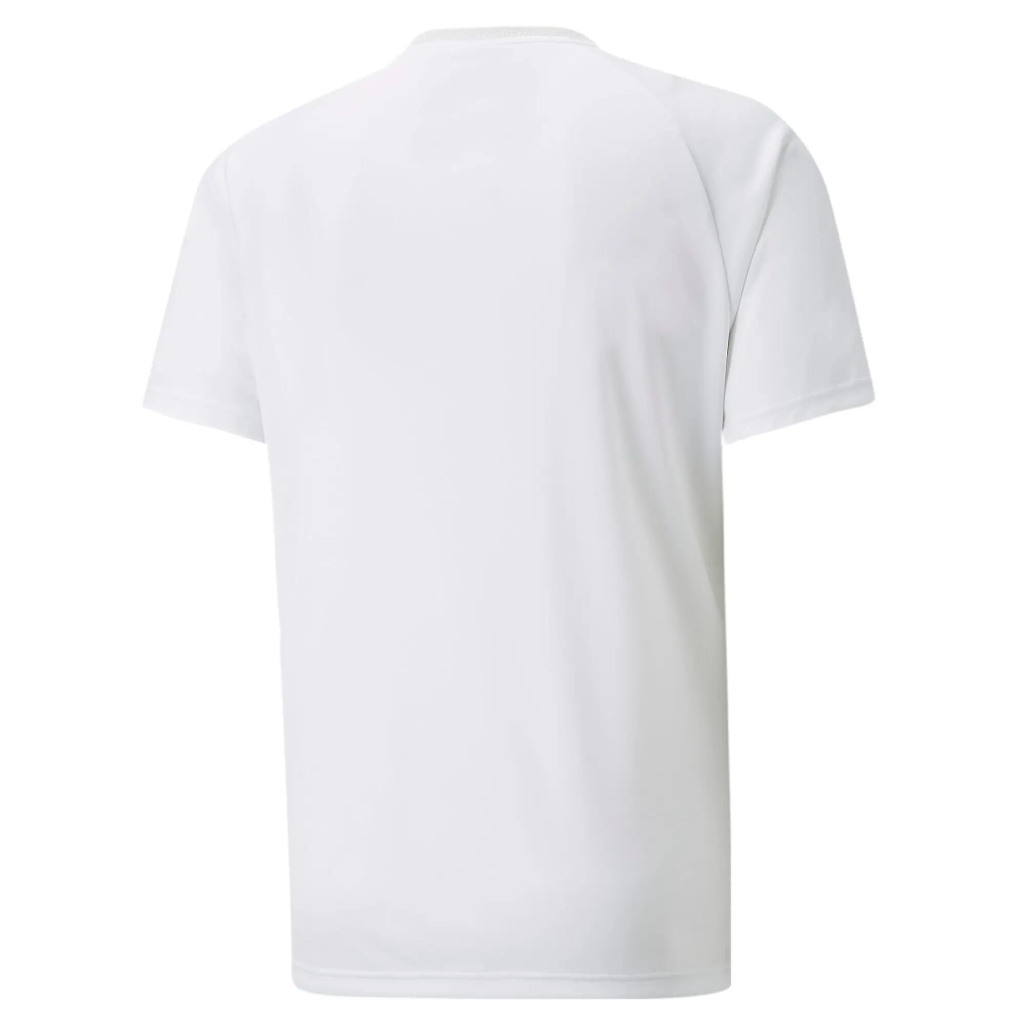 Camisa esportiva masculina Puma TEAMVISION 2/3
