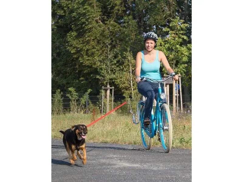 Guinzaglio per bicicletta 3/3