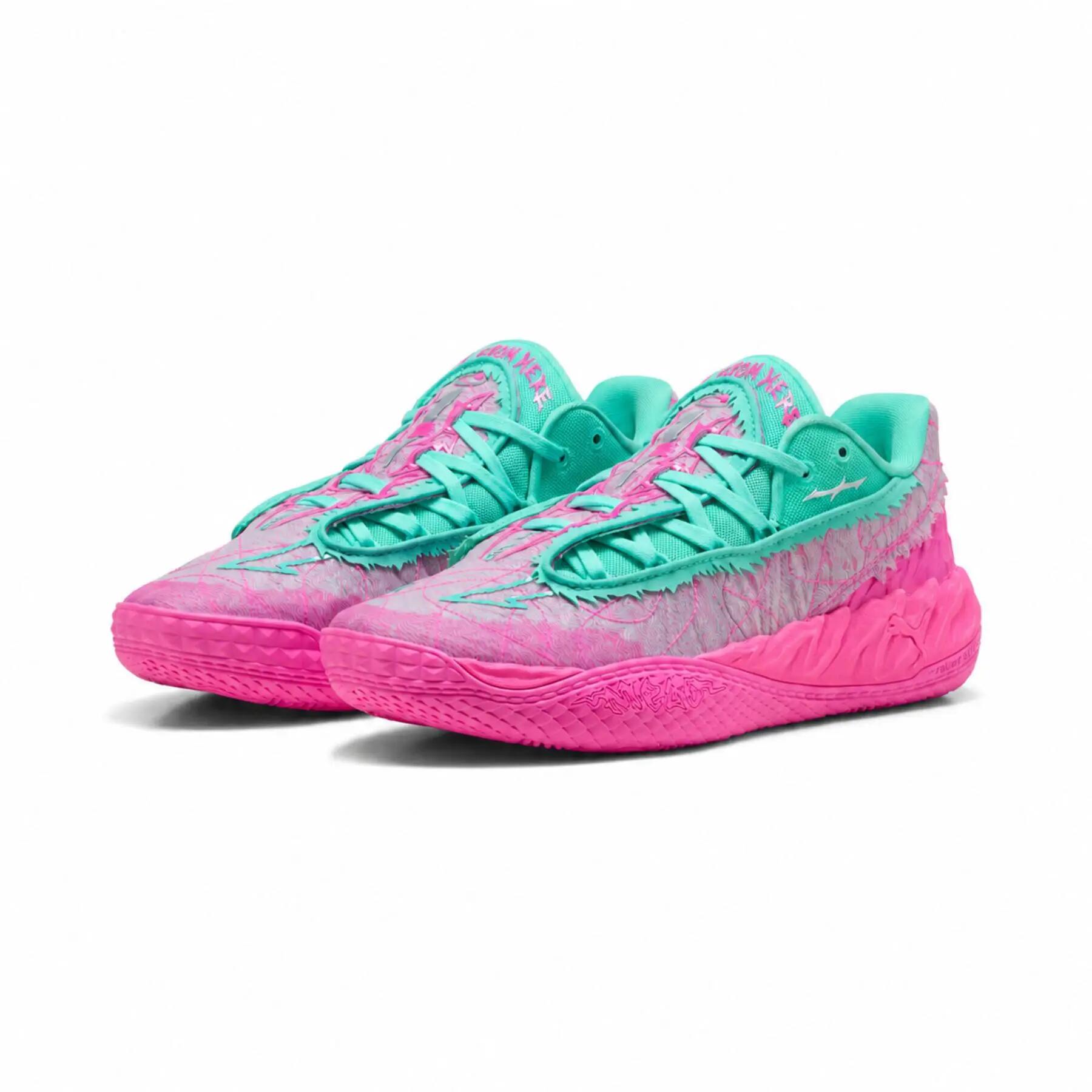 PUMA picture