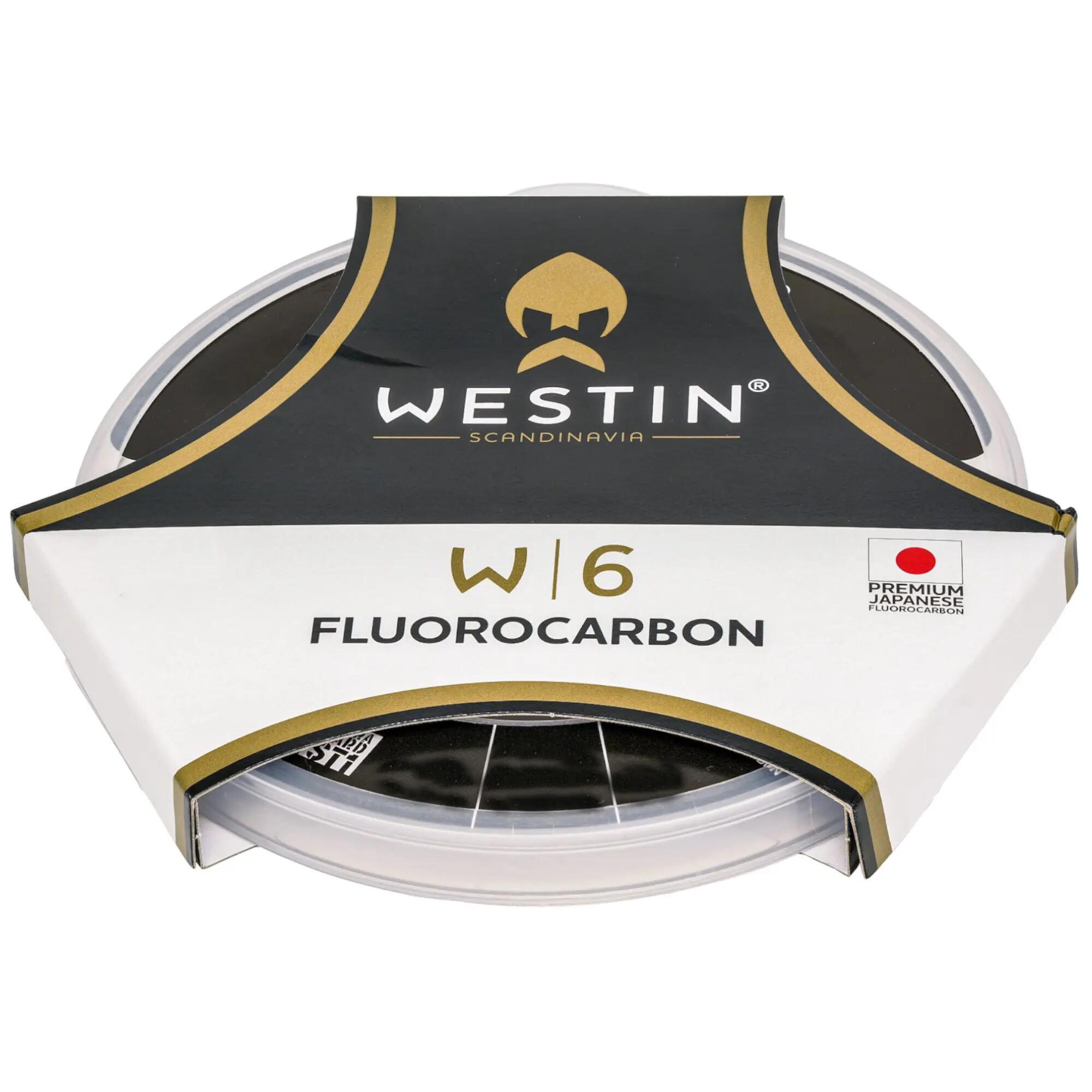 WESTIN picture