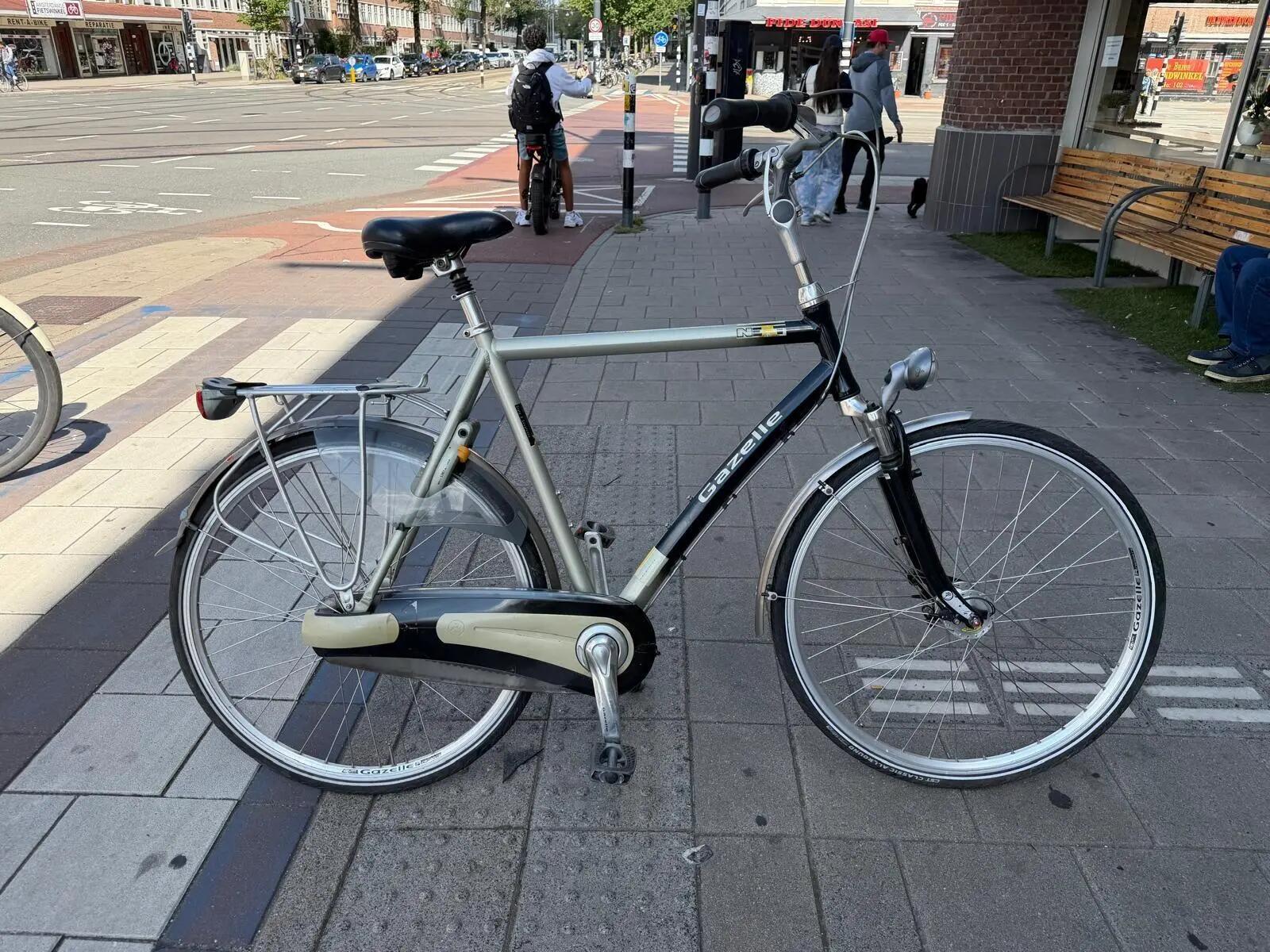 Gazelle Next, Shimano Shifter, metal/grijs 5/6