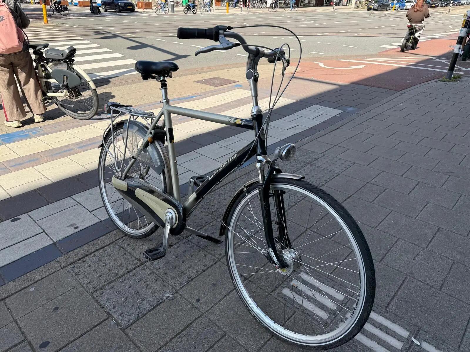 Gazelle Next, Shimano Shifter, metal/grijs 3/6