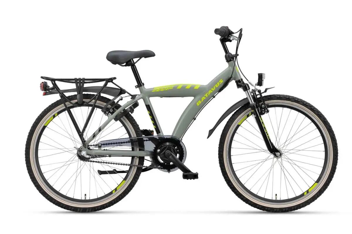 BATAVUS picture