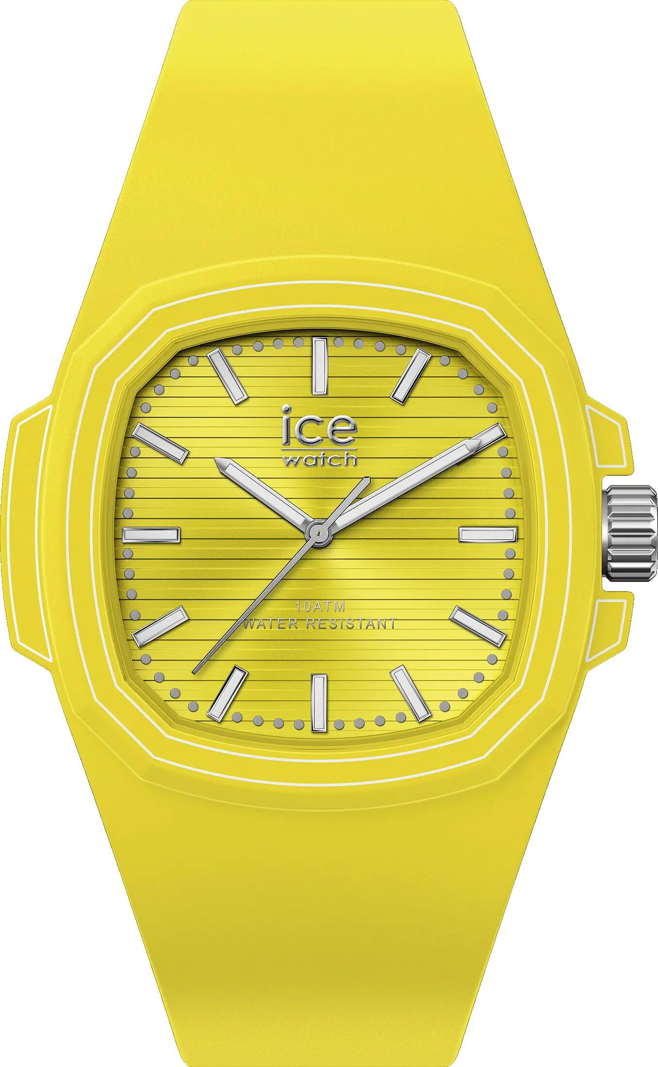 ICE WATCH picture