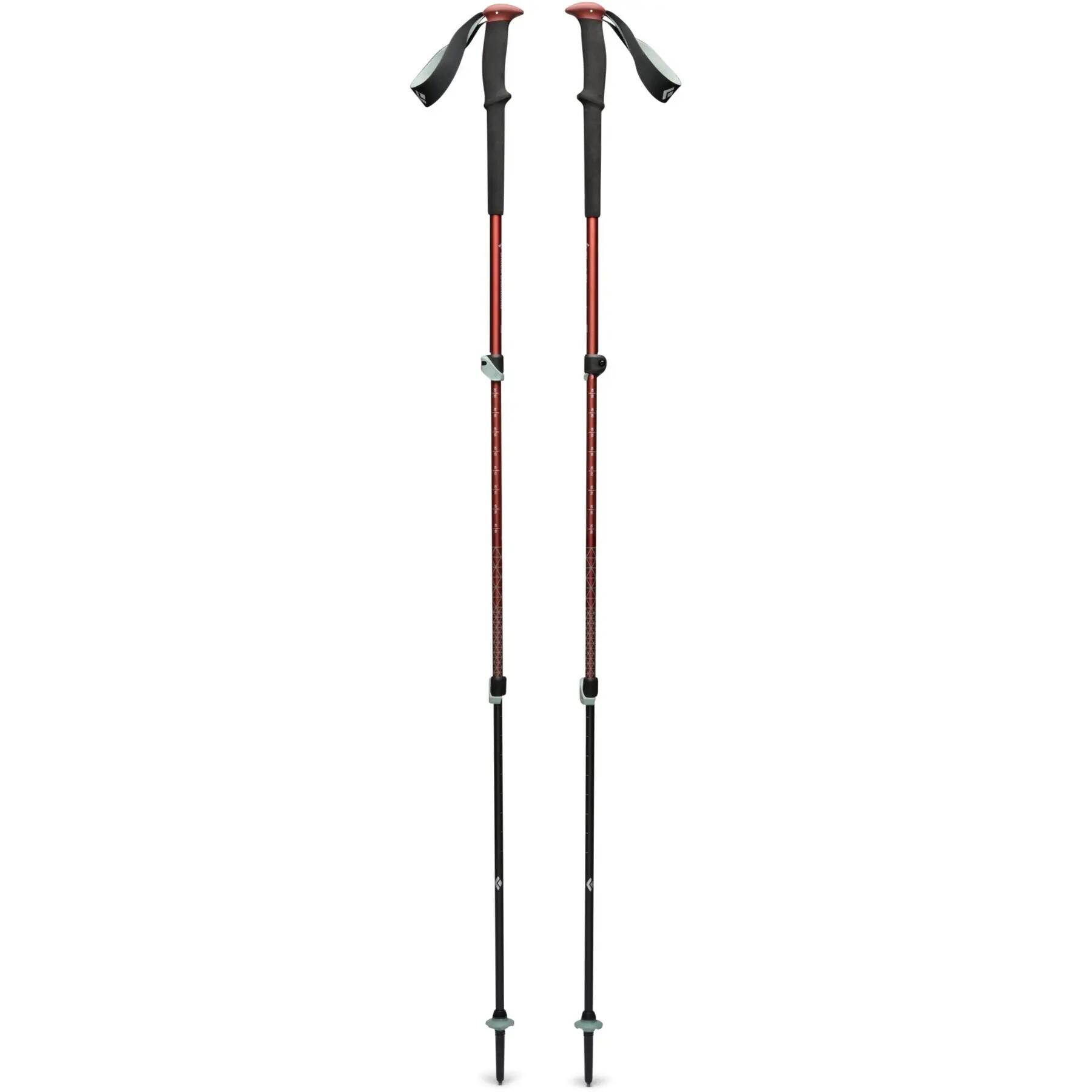 Black Diamond Trekkingstokken Sportaccessoires voor heren 1/6