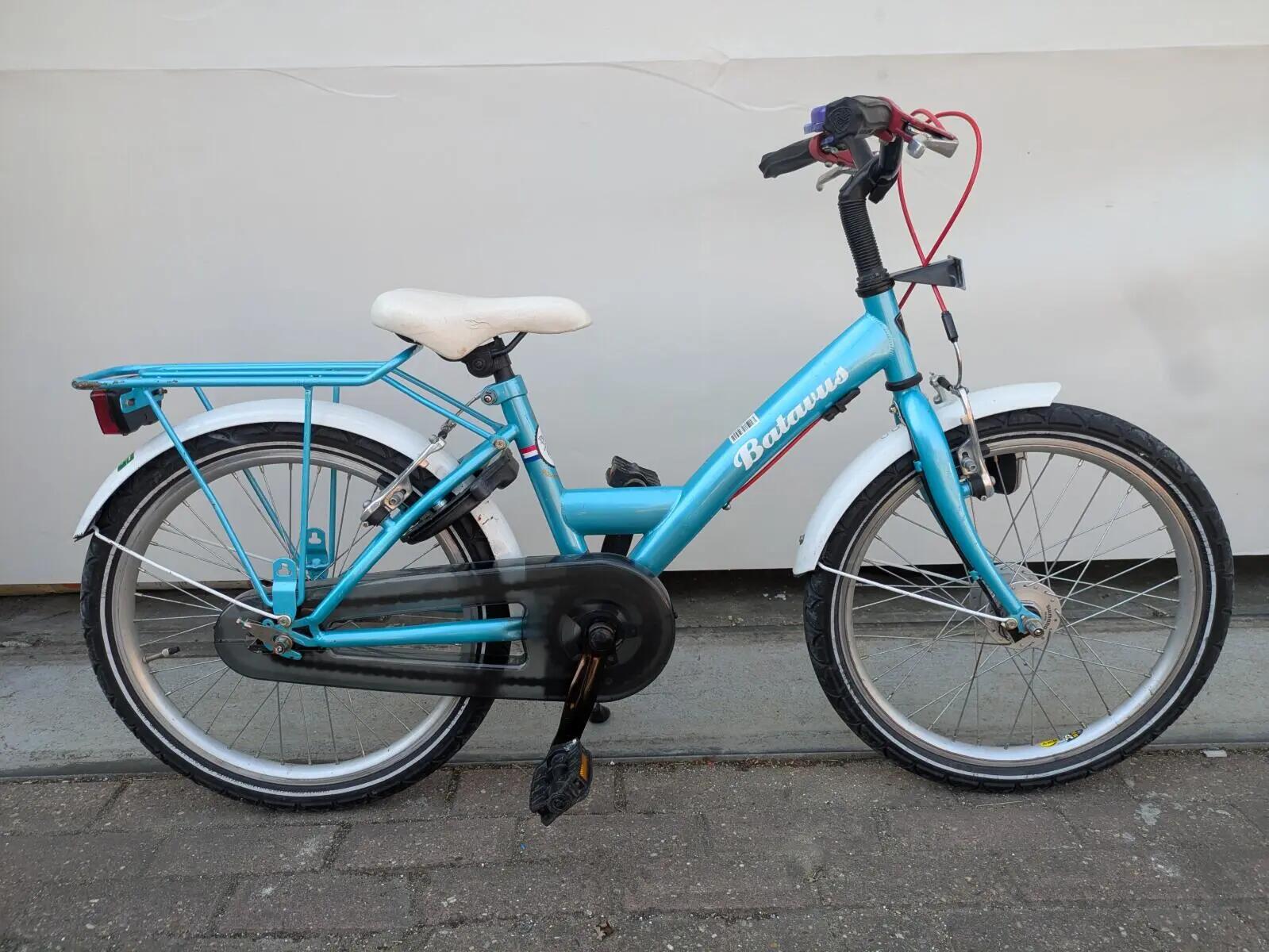 BATAVUS picture