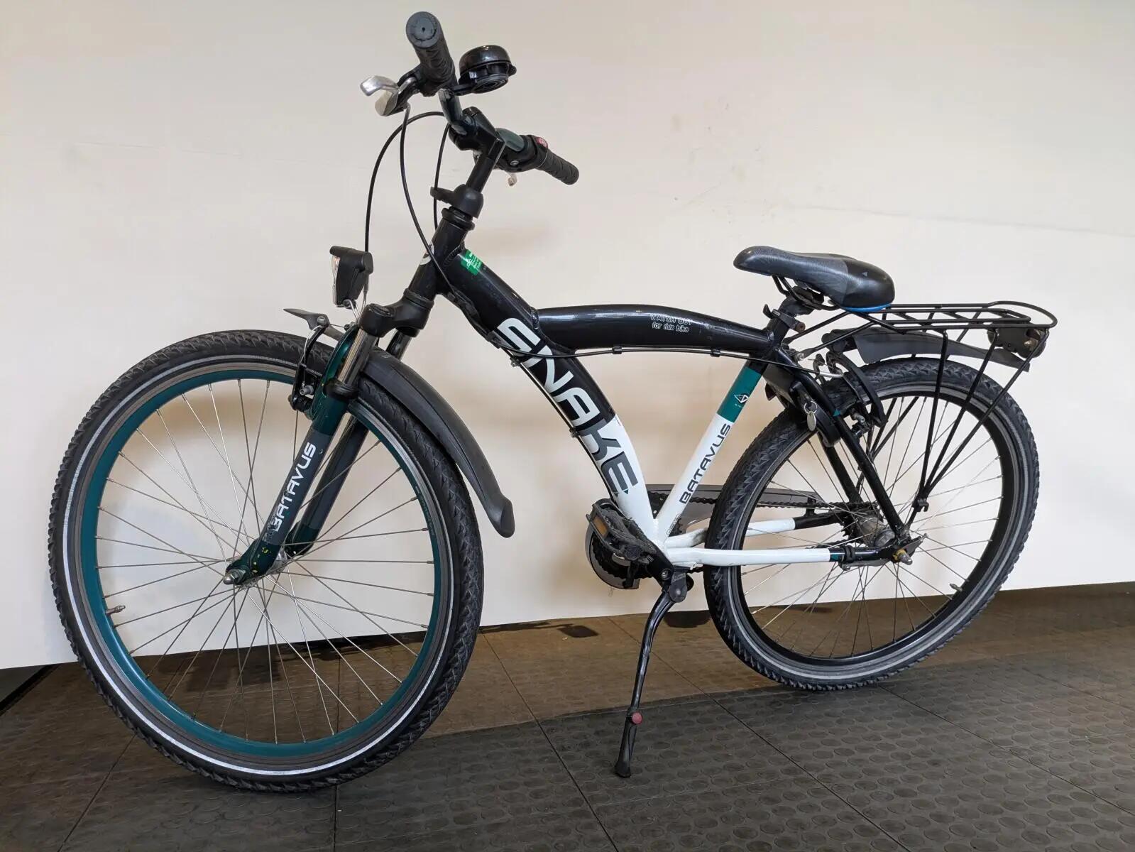 Batavus Snake 3/5