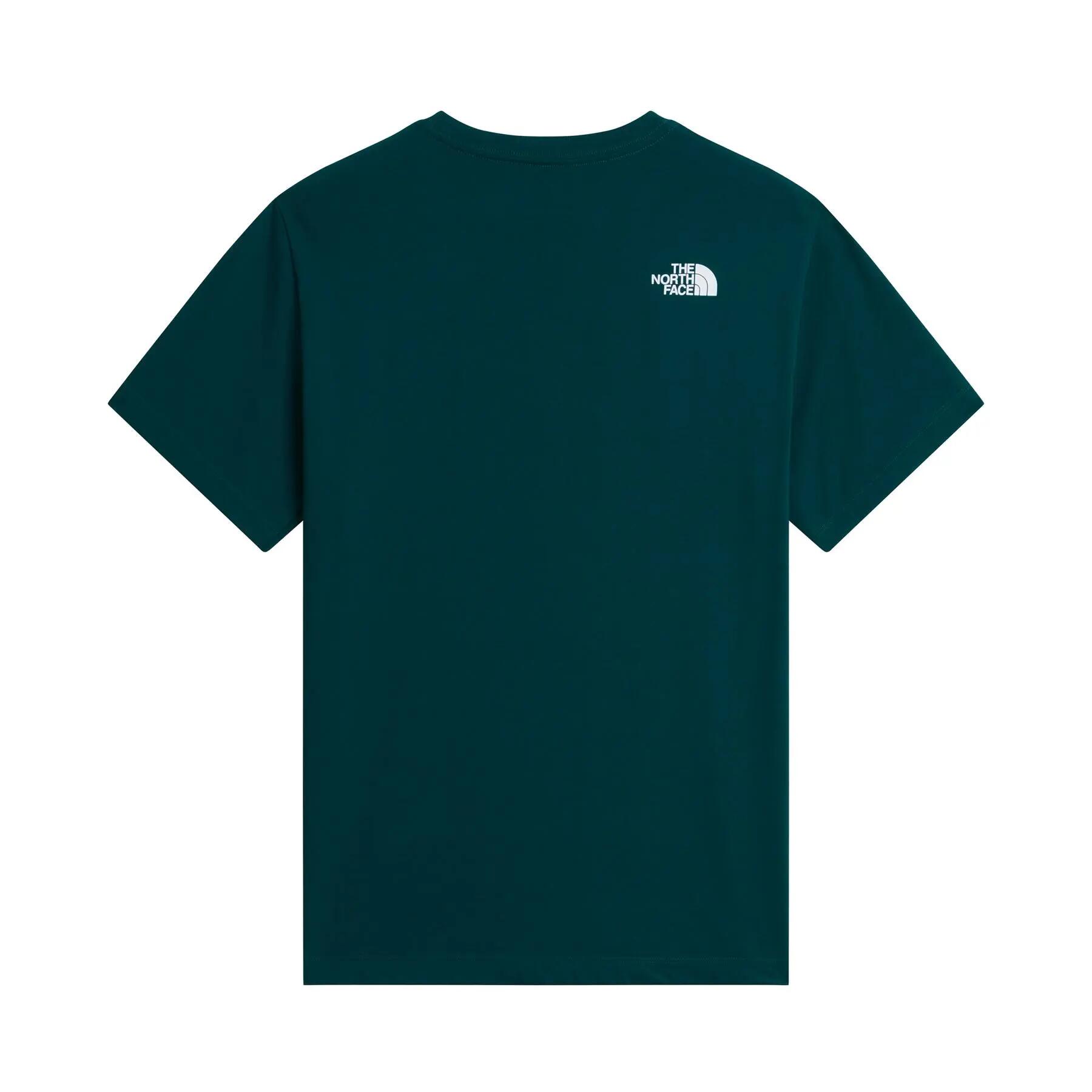 T-shirt de sport pour homme THE NORTH FACE NSE REG 2/5