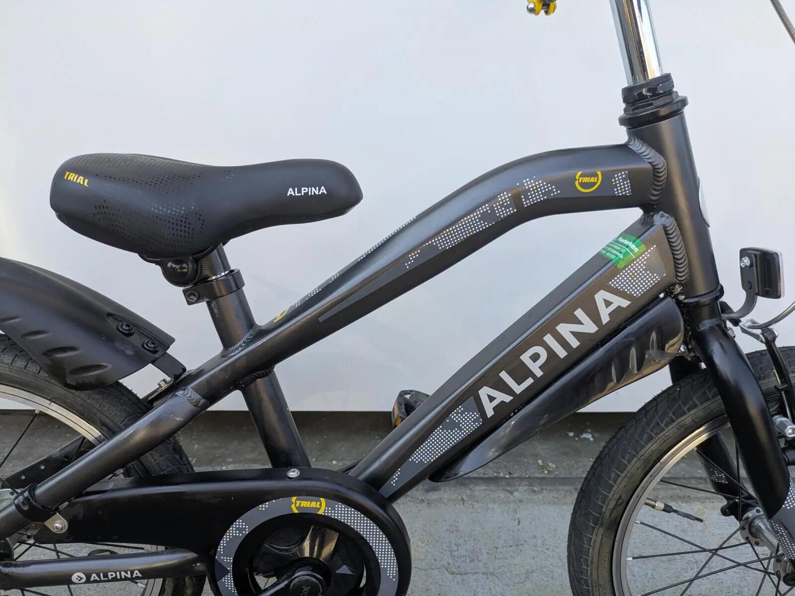Alpina Trial, zwart 2/5