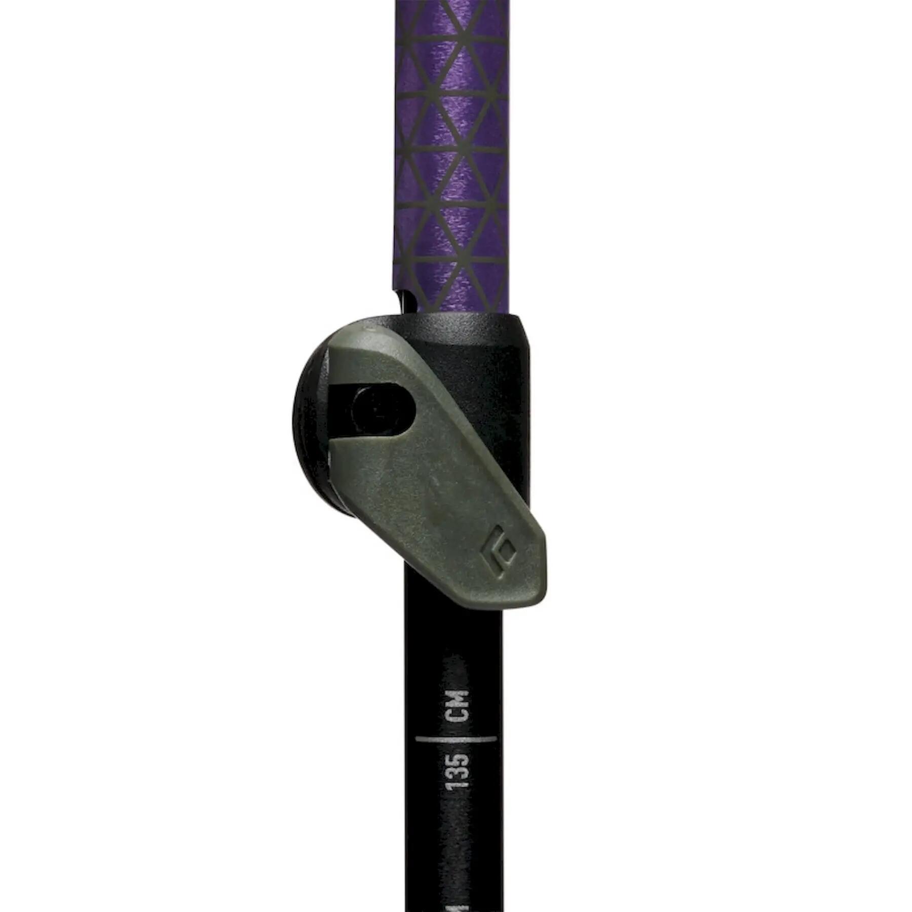 Bastoncini da trekking Black Diamond, accessori sportivi da uomo 4/5