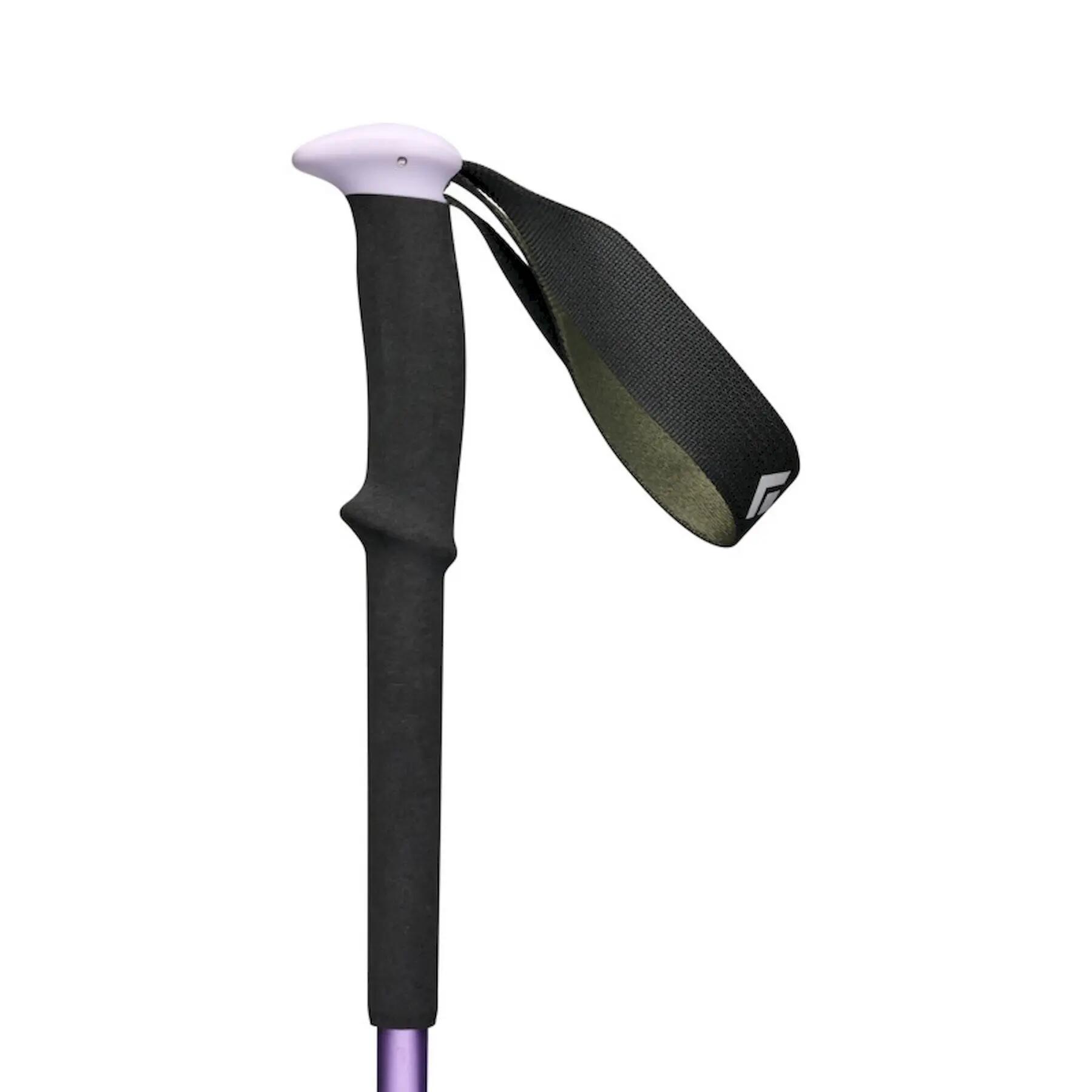 Bastoncini da trekking Black Diamond, accessori sportivi da uomo 3/5