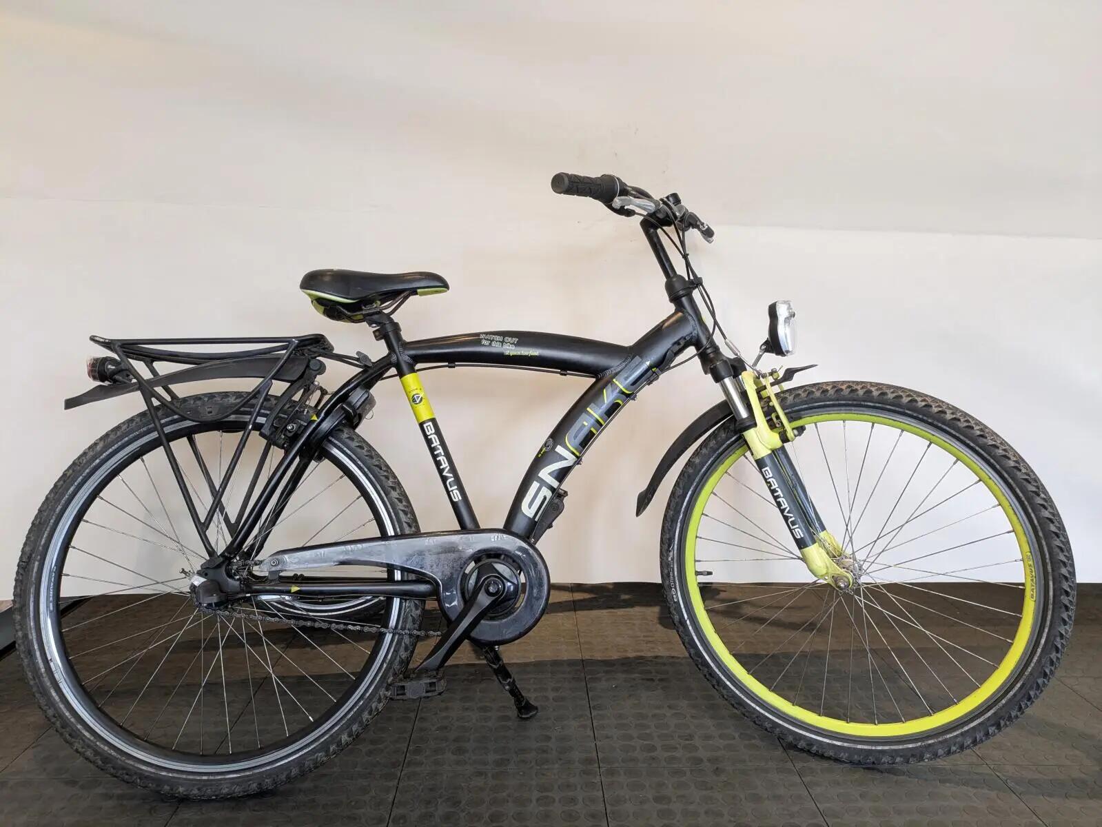 BATAVUS picture