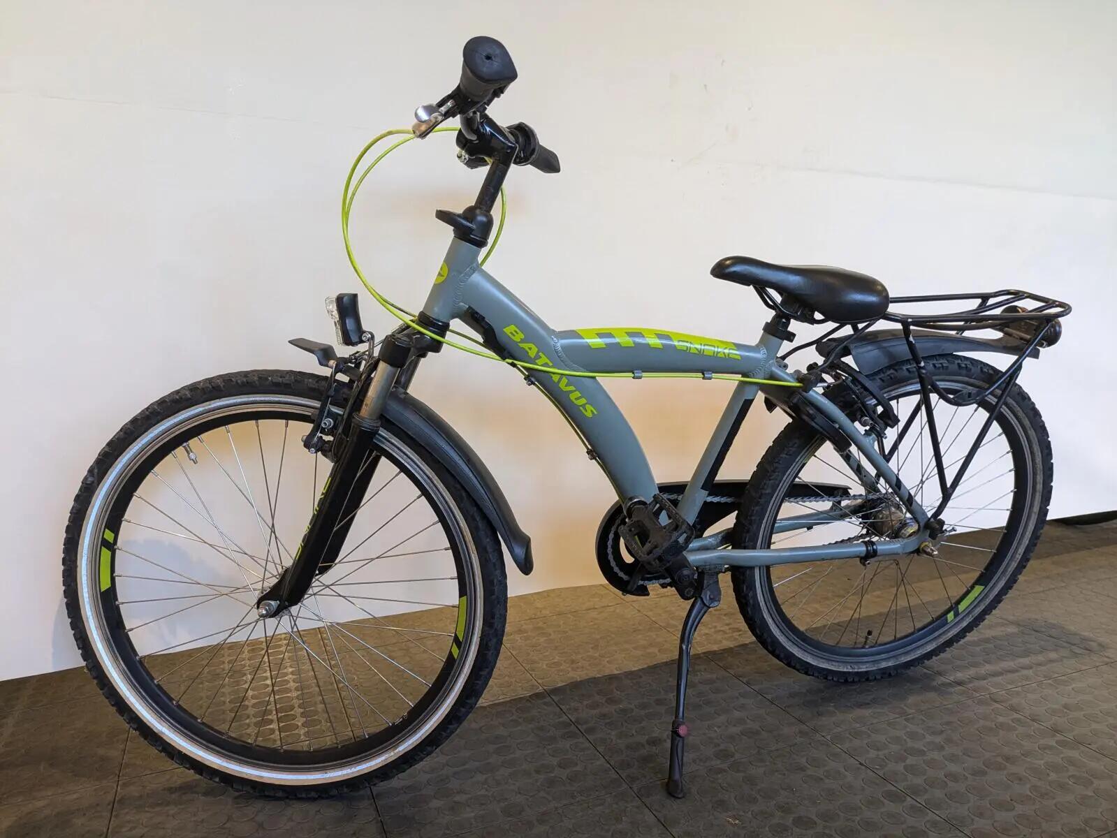 Batavus Snake 4/5