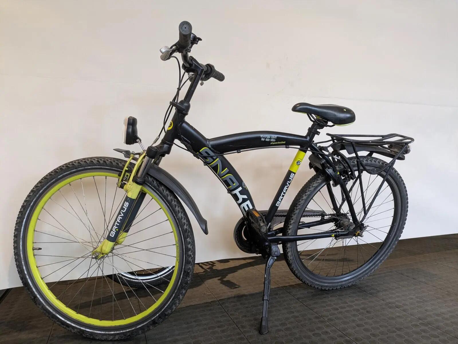 Batavus Snake 3/5