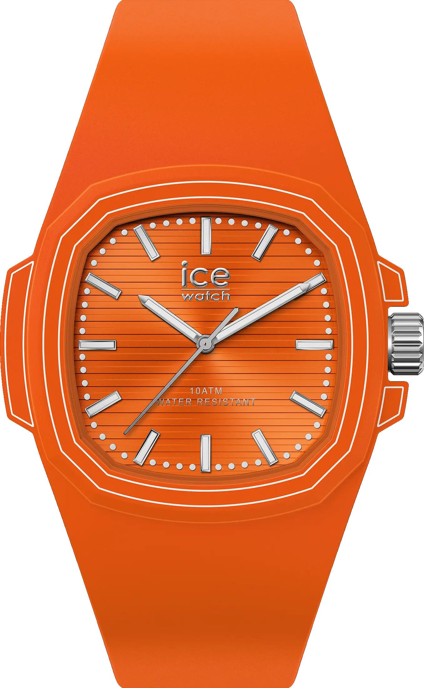 ICE WATCH picture