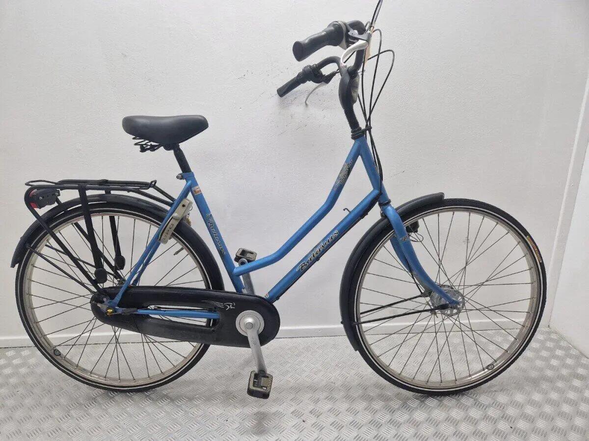 BATAVUS picture