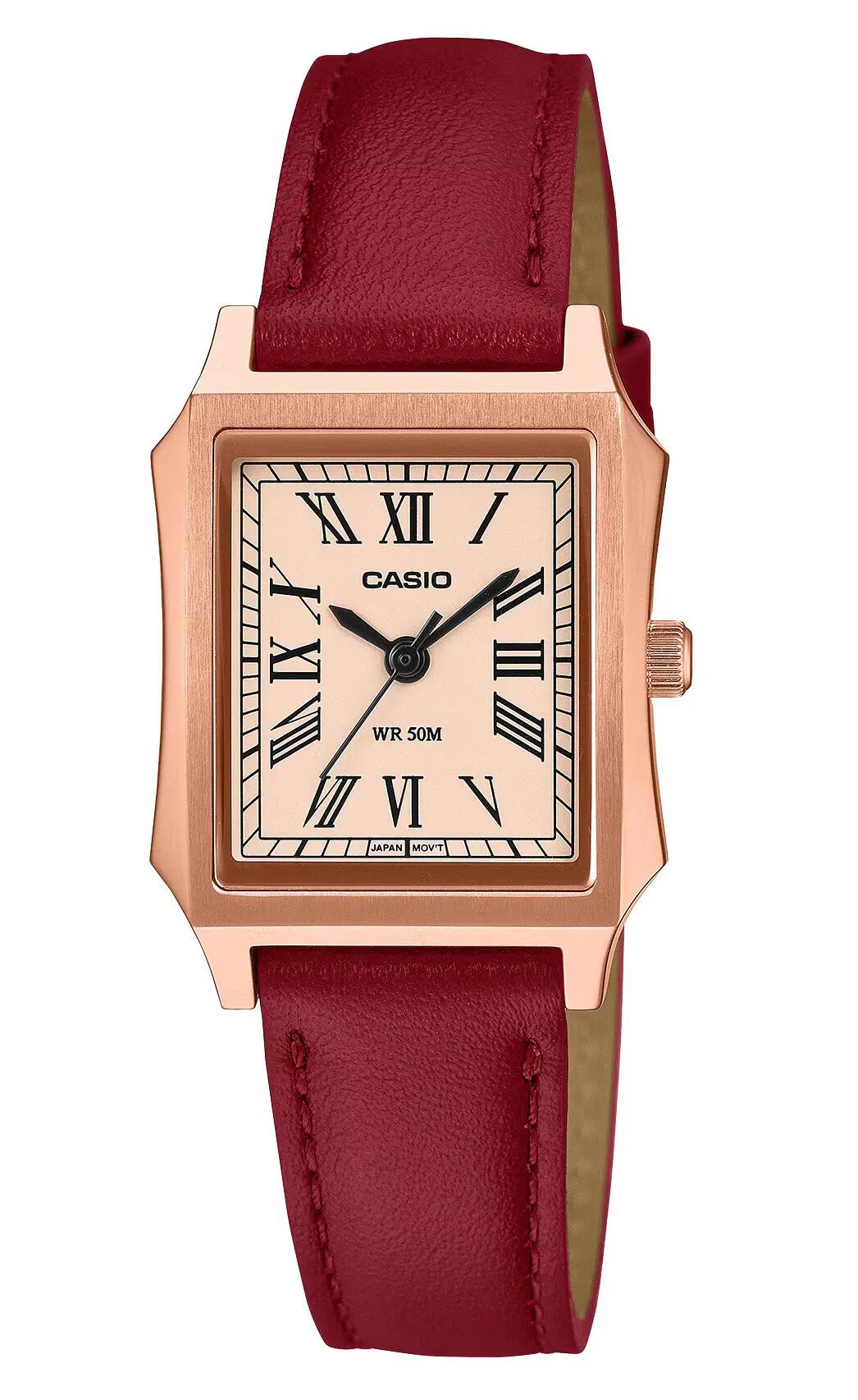 CASIO picture
