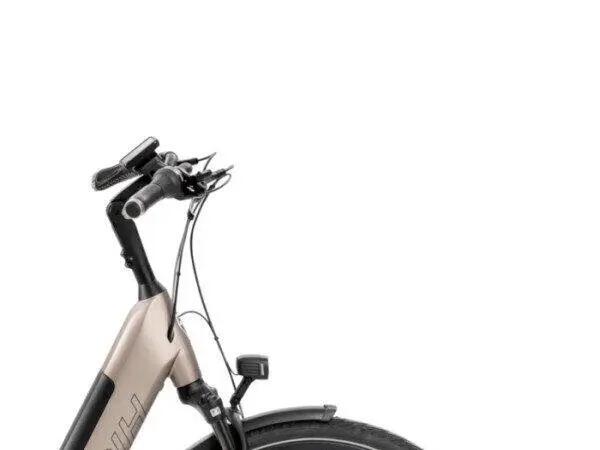 RIH Spectra 700Wh, Shimano Nexus 4/5