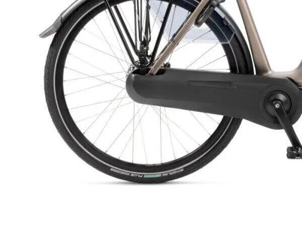 RIH Spectra 700Wh, Shimano Nexus 3/5