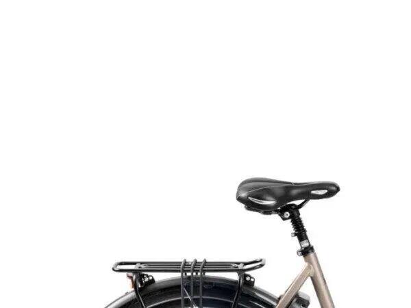 RIH Spectra 700Wh, Shimano Nexus 2/5